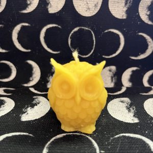 Owl Beeswax Candle