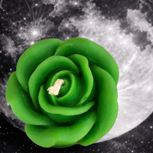 green rose with moon