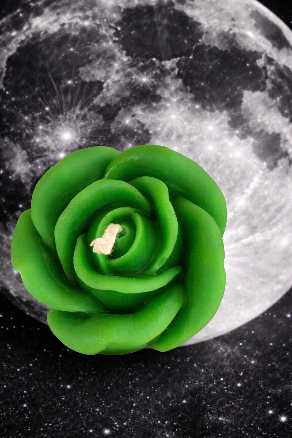 green rose with moon